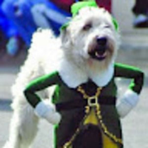 Meet your Posher, Georgia